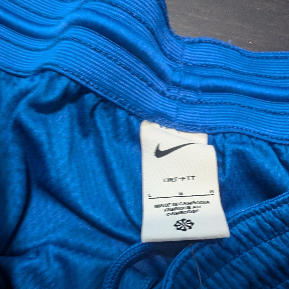 Nike shorts Men's BNWT - Picture 6 of 12